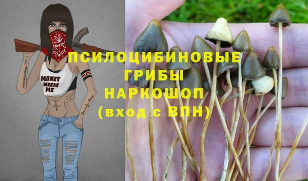 бошки Кукмор
