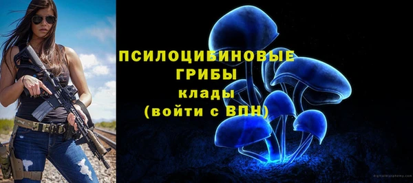 бошки Кукмор